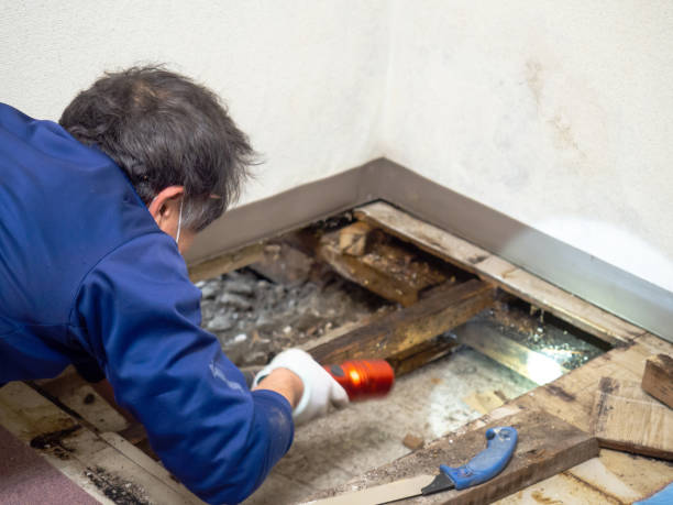 Best Water Damage Restoration  in Auburn Lake Trails, CA