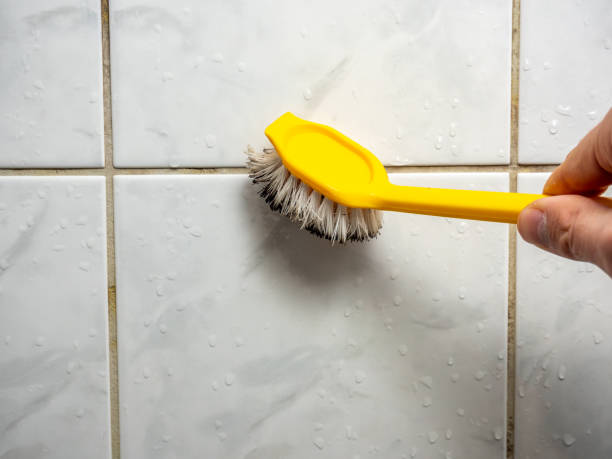 Best Commercial Mold Removal  in Auburn Lake Trails, CA