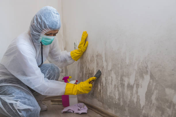 Best Mold Cleaning Services  in Auburn Lake Trails, CA