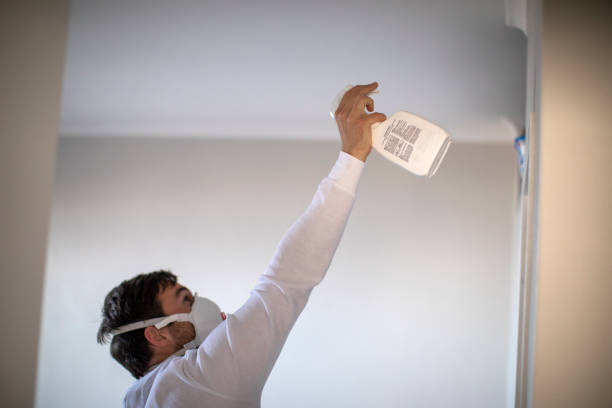 Trusted Auburn Lake Trails, CA Mold Removal Experts