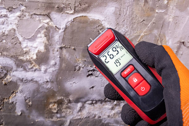Best Home Mold Removal  in Auburn Lake Trails, CA
