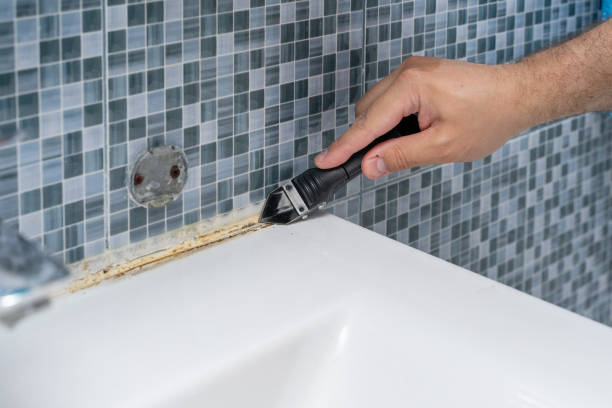 Best Same-Day Mold Removal  in Auburn Lake Trails, CA